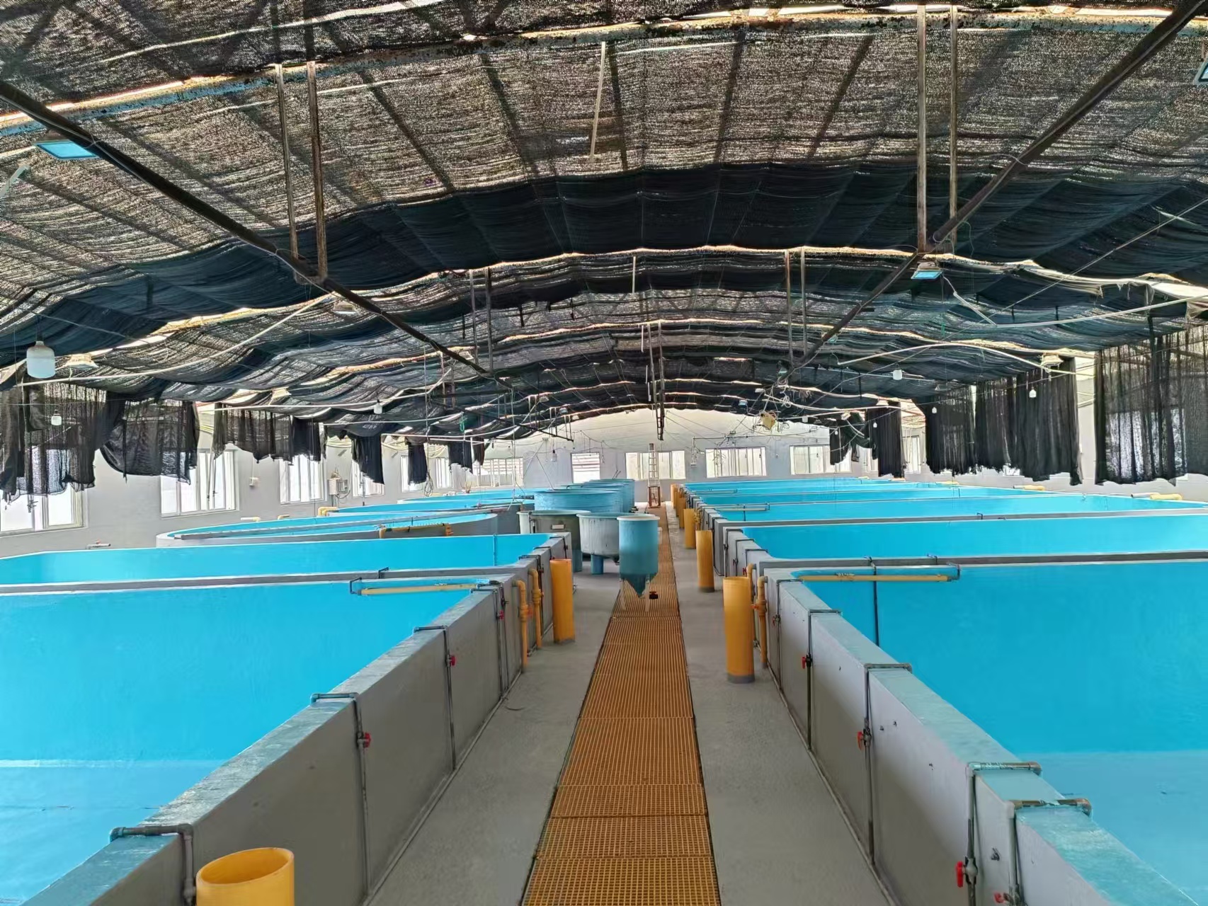 水性養殖漆施工案例