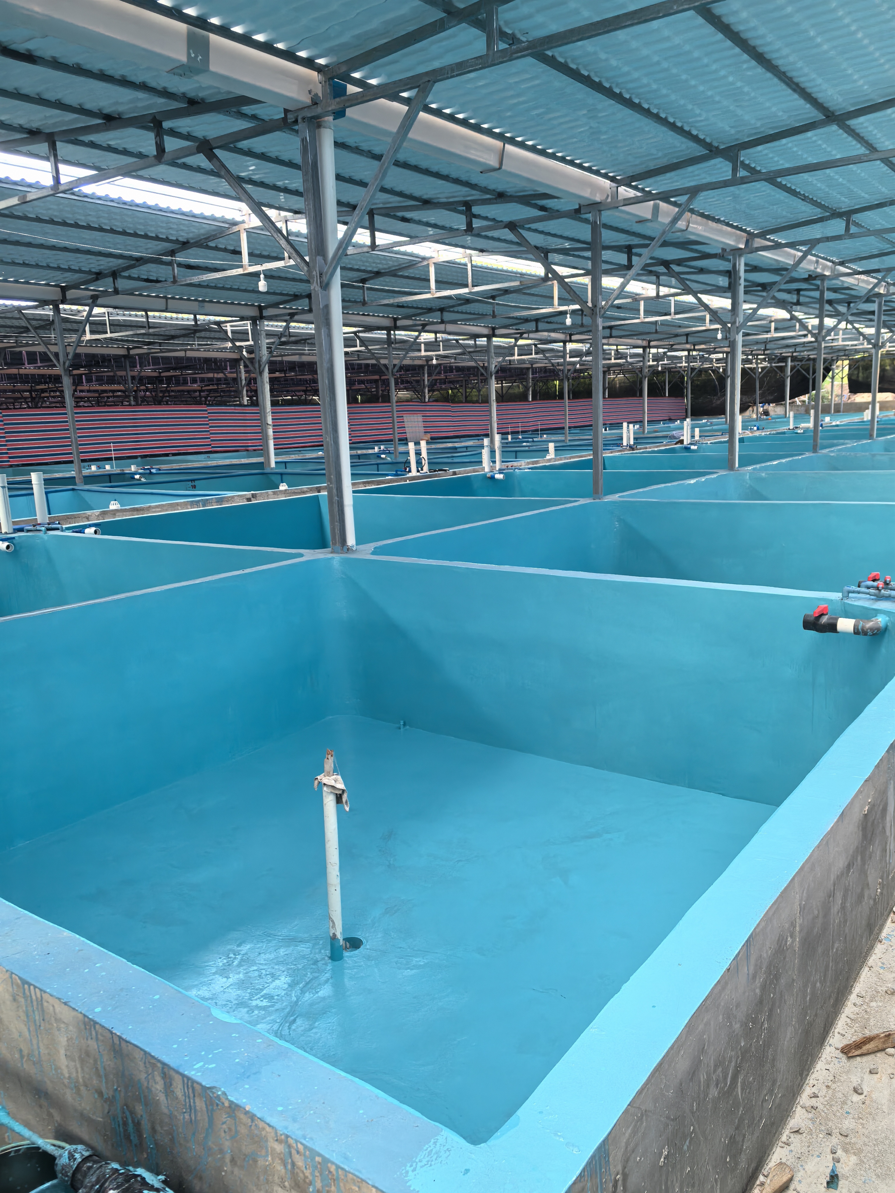 水性養殖漆施工案例