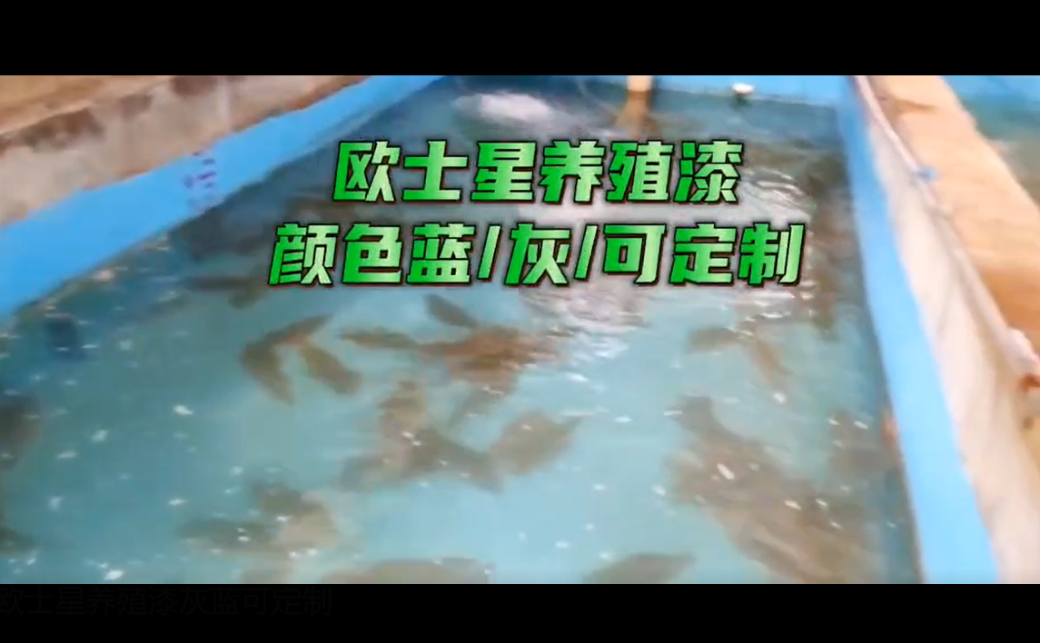 歐士星養(yǎng)殖漆灰/藍(lán)可定制