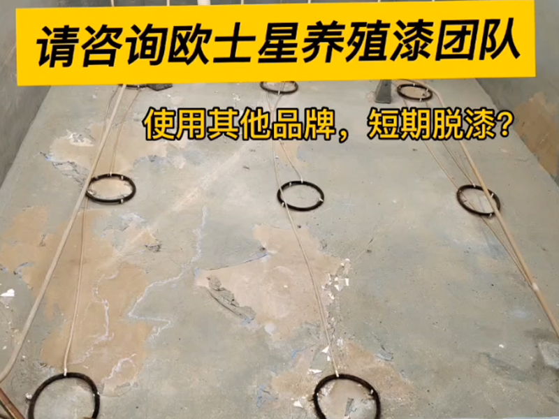 曾經(jīng)刷養(yǎng)殖漆或者即將要刷養(yǎng)殖漆的朋友們，如果遇到刷完養(yǎng)殖漆短時間脫漆請咨詢歐士星養(yǎng)殖漆團(tuán)隊，可免費解答您的困惑！