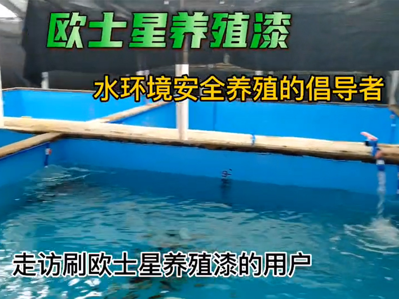 走訪刷歐士星養(yǎng)殖漆的用戶，用戶自己的工人刷完漆放水養(yǎng)殖東星斑一個(gè)多月，養(yǎng)殖順利，翻新，一桶漆刷了7個(gè)池子，工人施工方便，歐士星養(yǎng)殖漆無(wú)異味，藍(lán)色深的比淺的養(yǎng)殖漆有助于減少養(yǎng)殖環(huán)境對(duì)東星斑的應(yīng)激，技術(shù)員反饋，貓?jiān)诔刈舆吘壟溃瑬|星斑比較淡定，養(yǎng)殖場(chǎng)可以根據(jù)環(huán)境情況選擇養(yǎng)殖漆的顏色的深和淺。