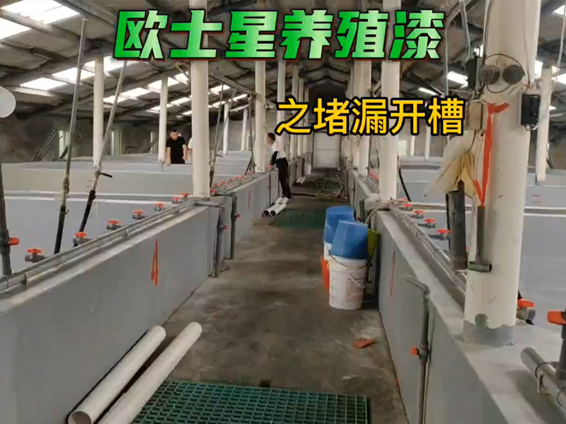 水產養殖基建是根本，廈門歐士星能給水產行業提供水產專用養殖漆，外墻涂料，隔熱漆，地坪漆等，同時福建區域提供施工及養殖池堵漏服務，其他省份可提供專業的培訓和指導，給您的養殖場一個美美噠的環境！