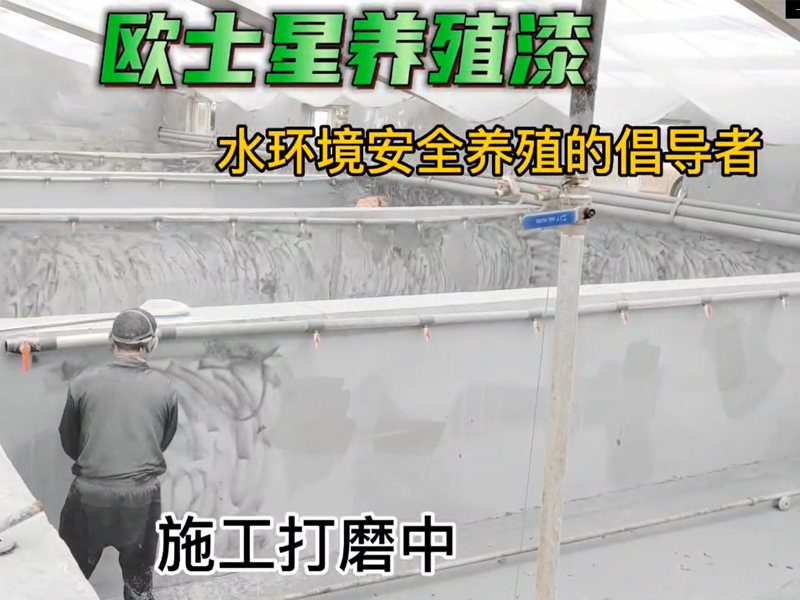 第四天打磨中，歐士星養(yǎng)殖漆，改善養(yǎng)殖環(huán)境，我們在行動中。