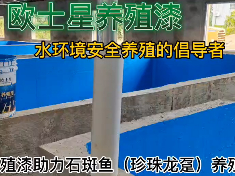 歐士星養殖漆助力石斑魚（珍珠龍躉）養殖，11月27日刷漆，12月1日放水養殖，魚苗活力佳，攝食順利，倡導水環境安全養殖，歐士星養殖漆在行動！