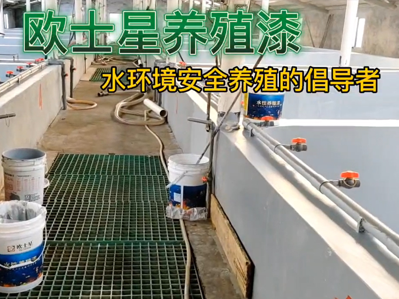 刷著歐士星養殖漆，聽著周華健的歌，刷出兒時的武俠夢。