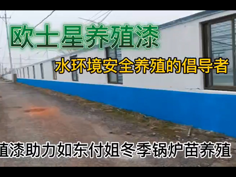 歐士星養殖漆助力如東付姐冬季鍋爐苗養殖，倡導水環境安全養殖，歐士星養殖漆在行動。